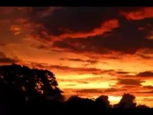 Texas - Nevermind